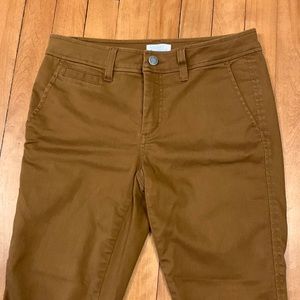Market Spruce brown pants
